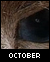 download calendar