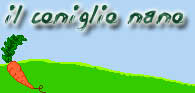 il coniglio nano